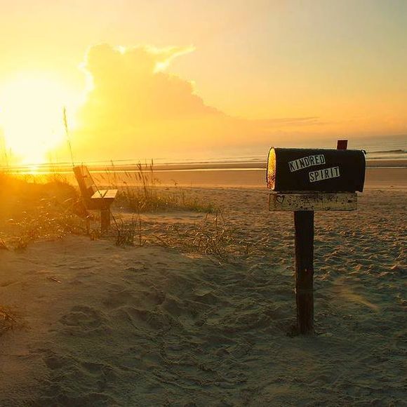 Meet your Posher, Steven - Picture 1 of 1